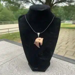 704635f5c5417f66b33f682e7ec518ab337304033c0829e916cf284cb72098e1